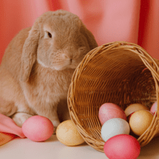 Brown bunny beside a brown basket with colored eggs
