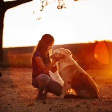 A girl cradling the face of a golden retriever dog, bathed in the warm light of a sunset.